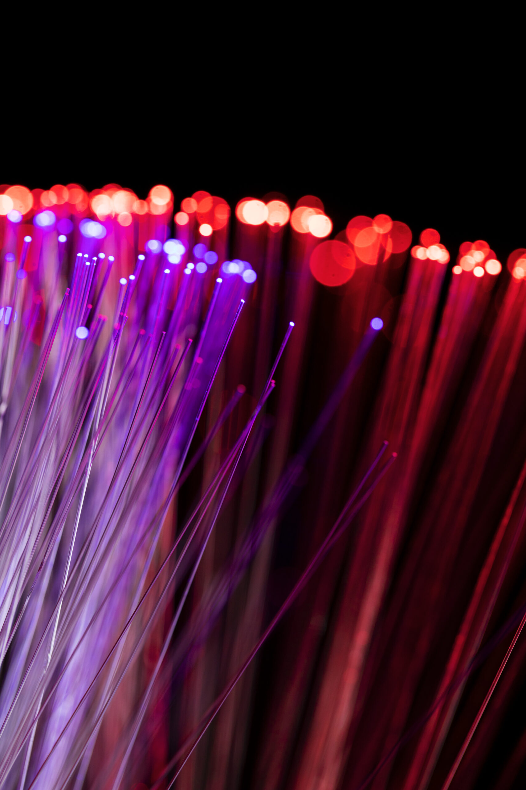 close up beautiful optical fiber details scaled